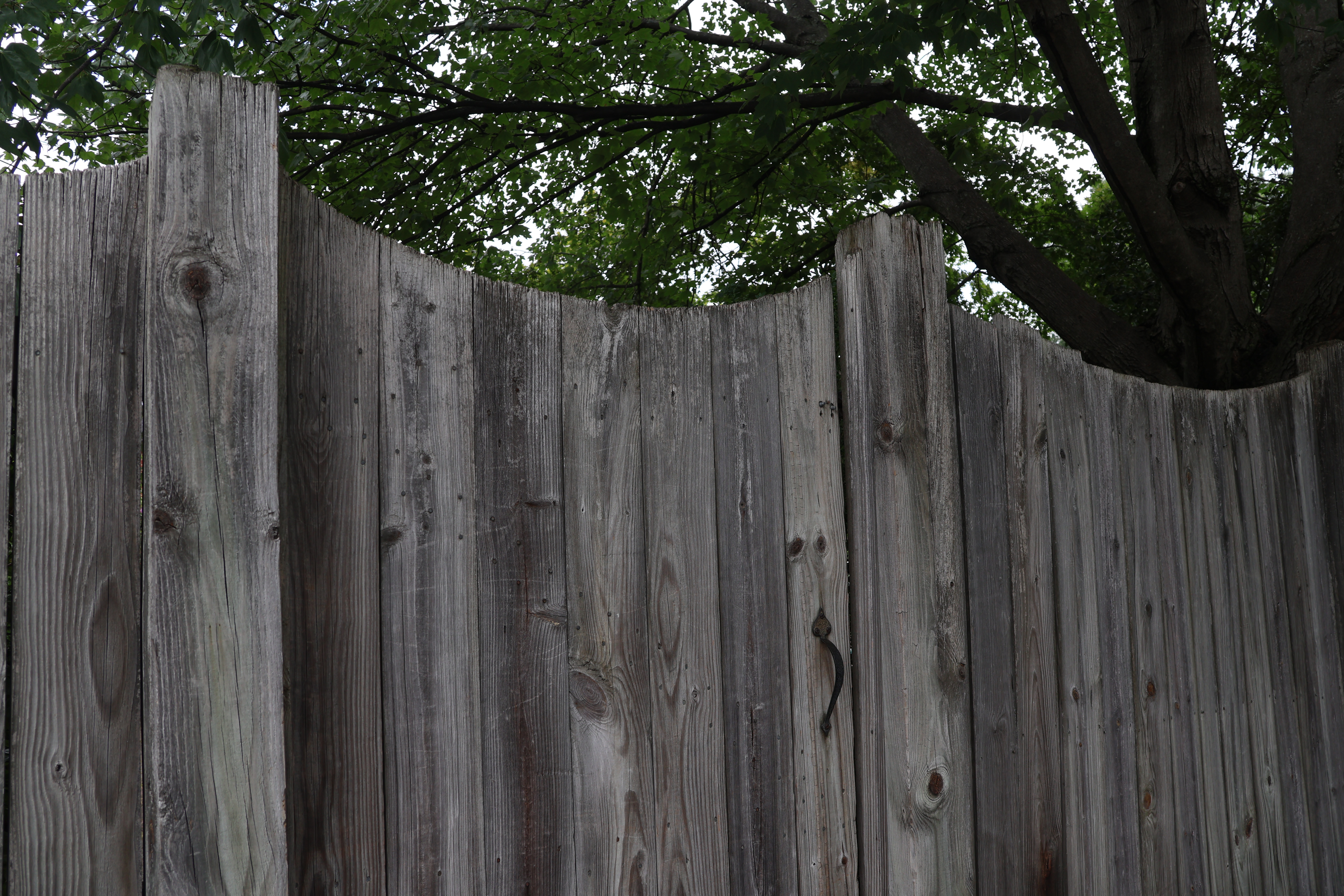 Gate