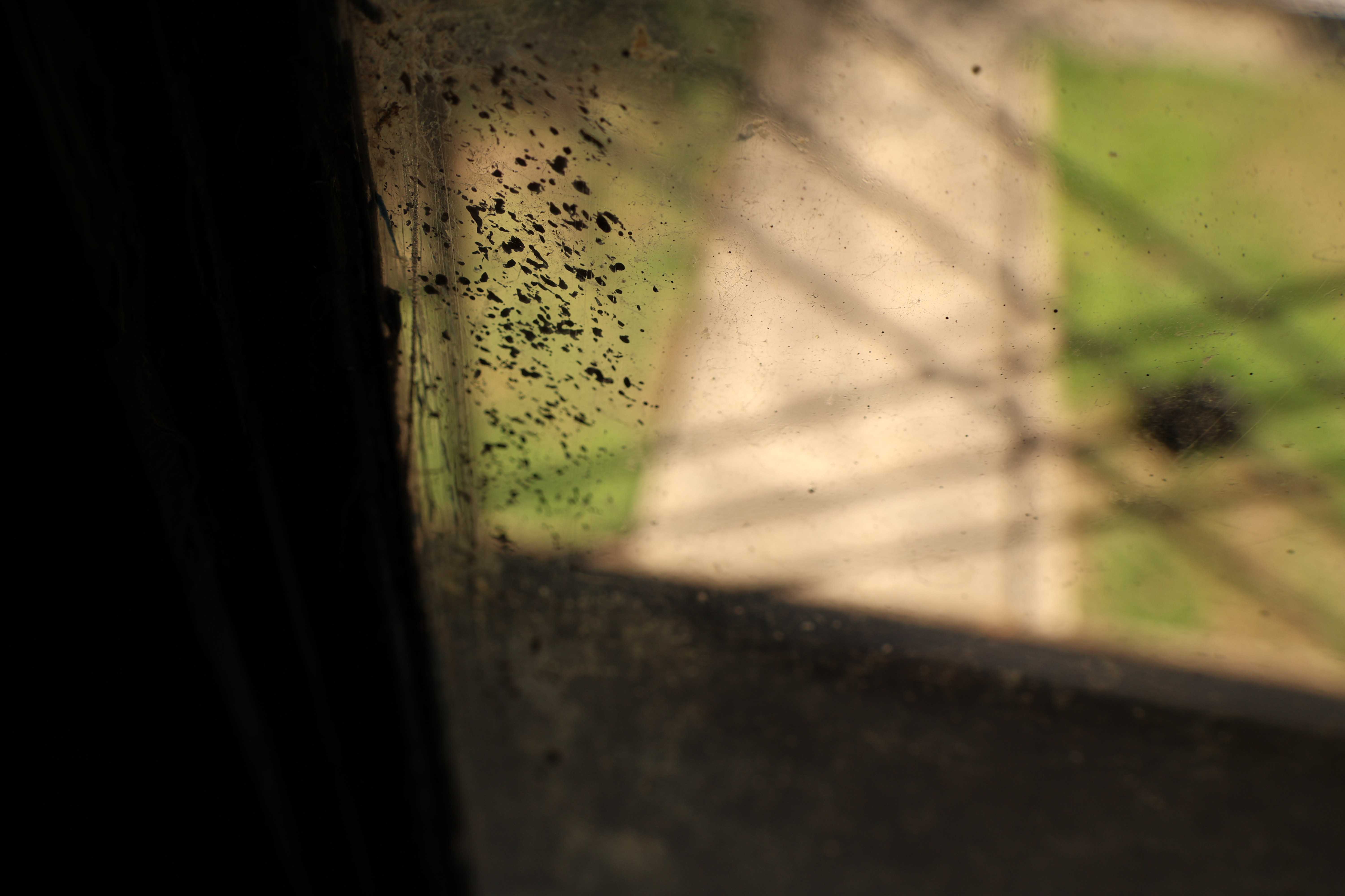 Dirty Window