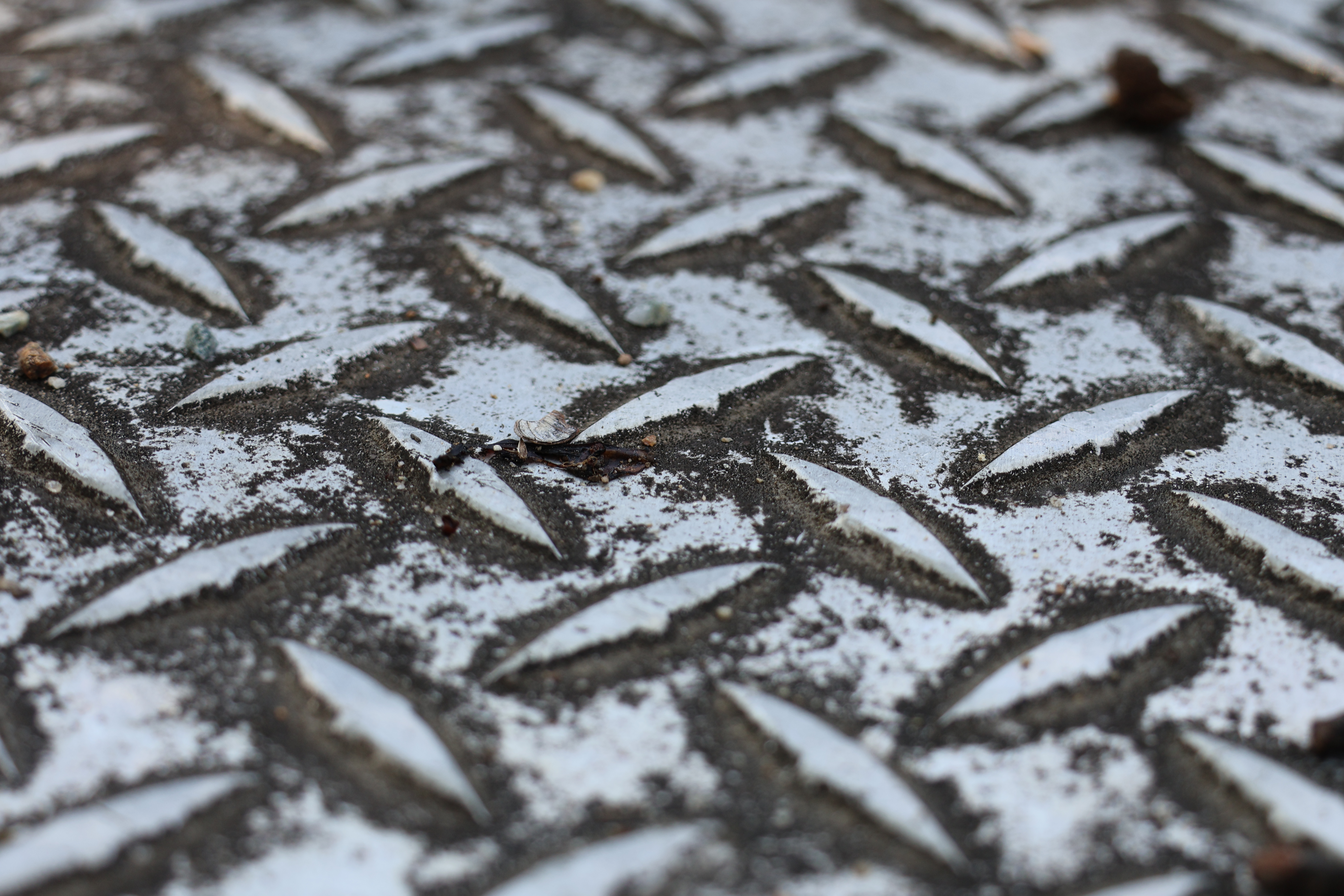 Pattern