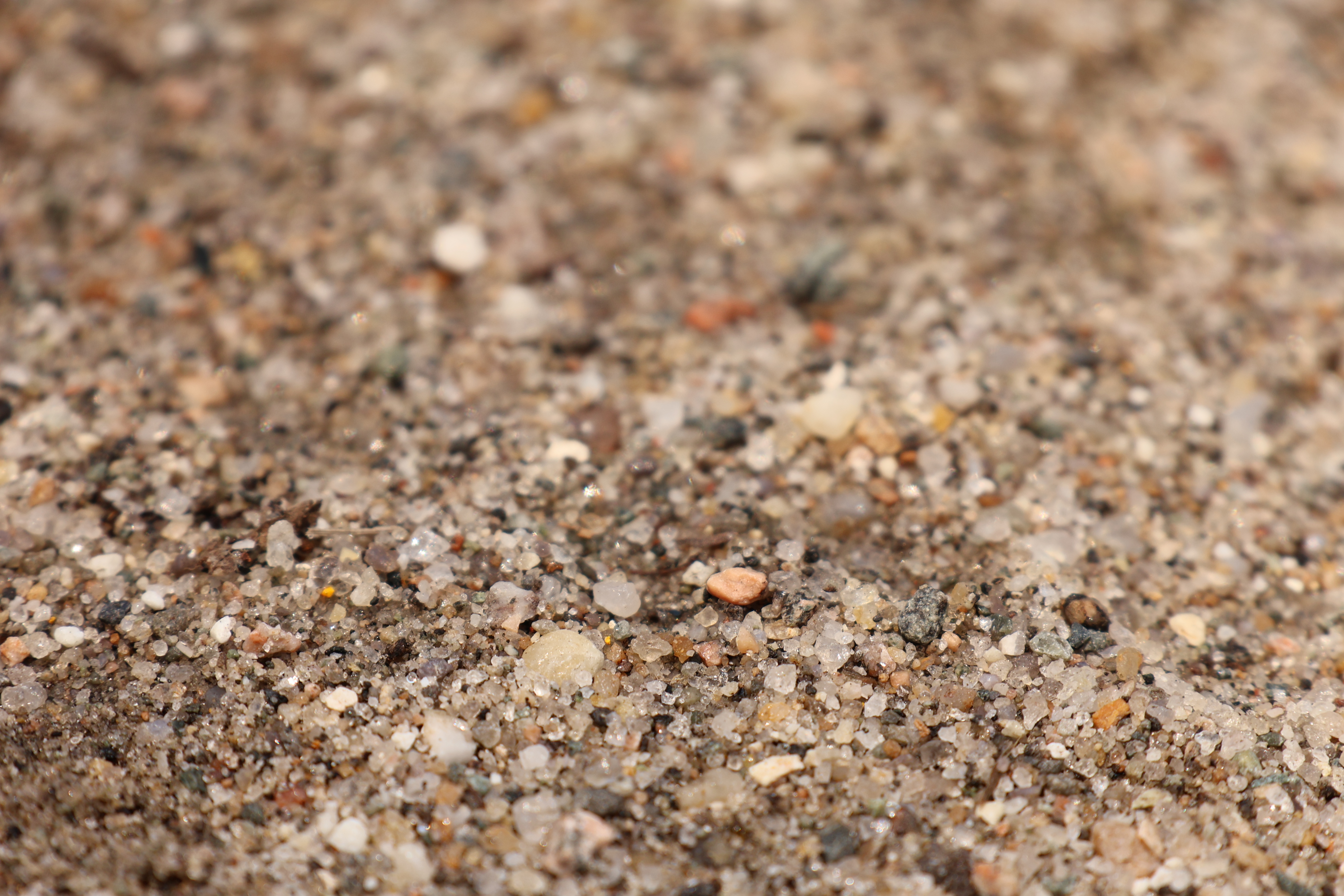 Rocks