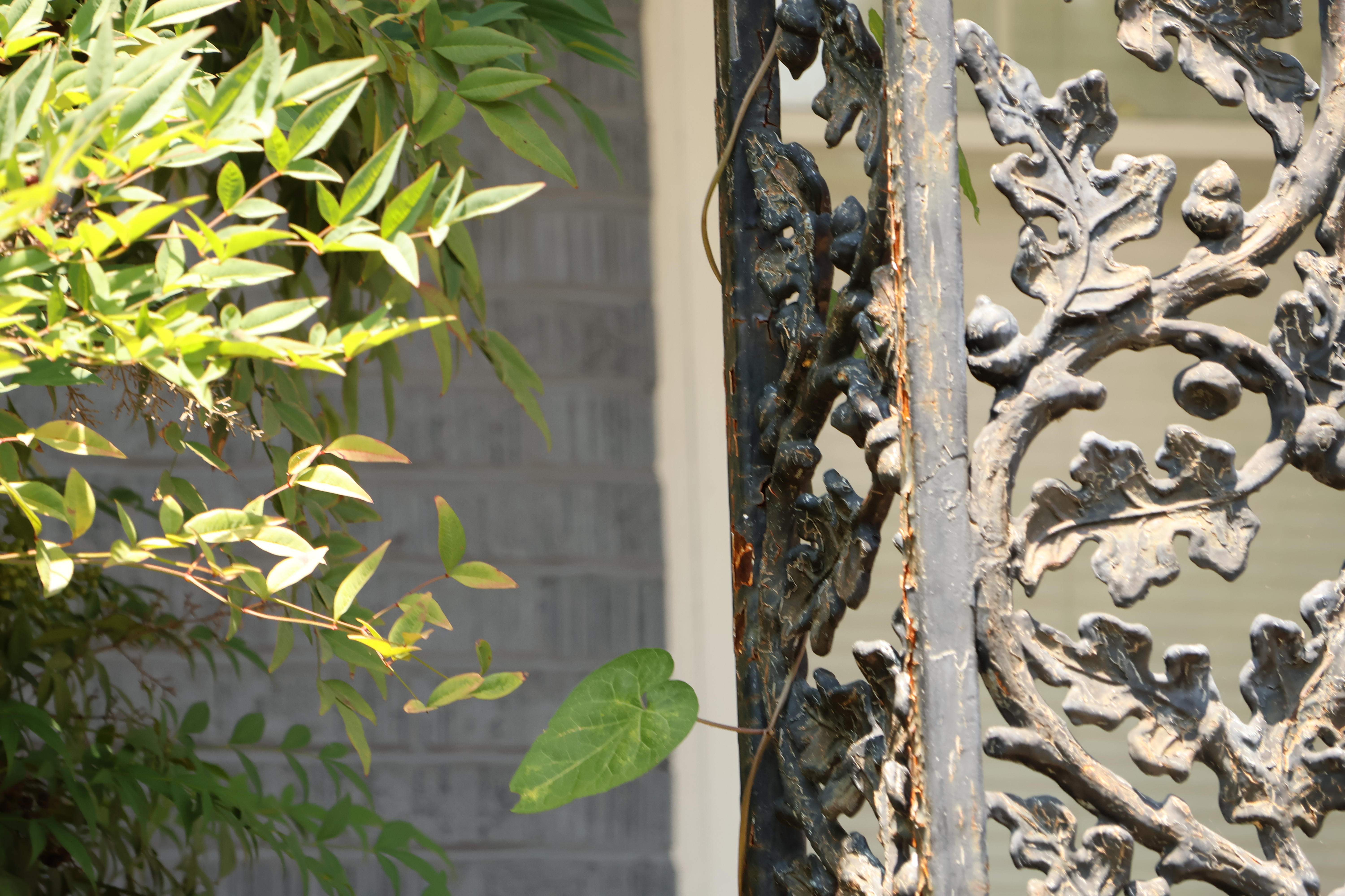 Leaves: Real and Metal