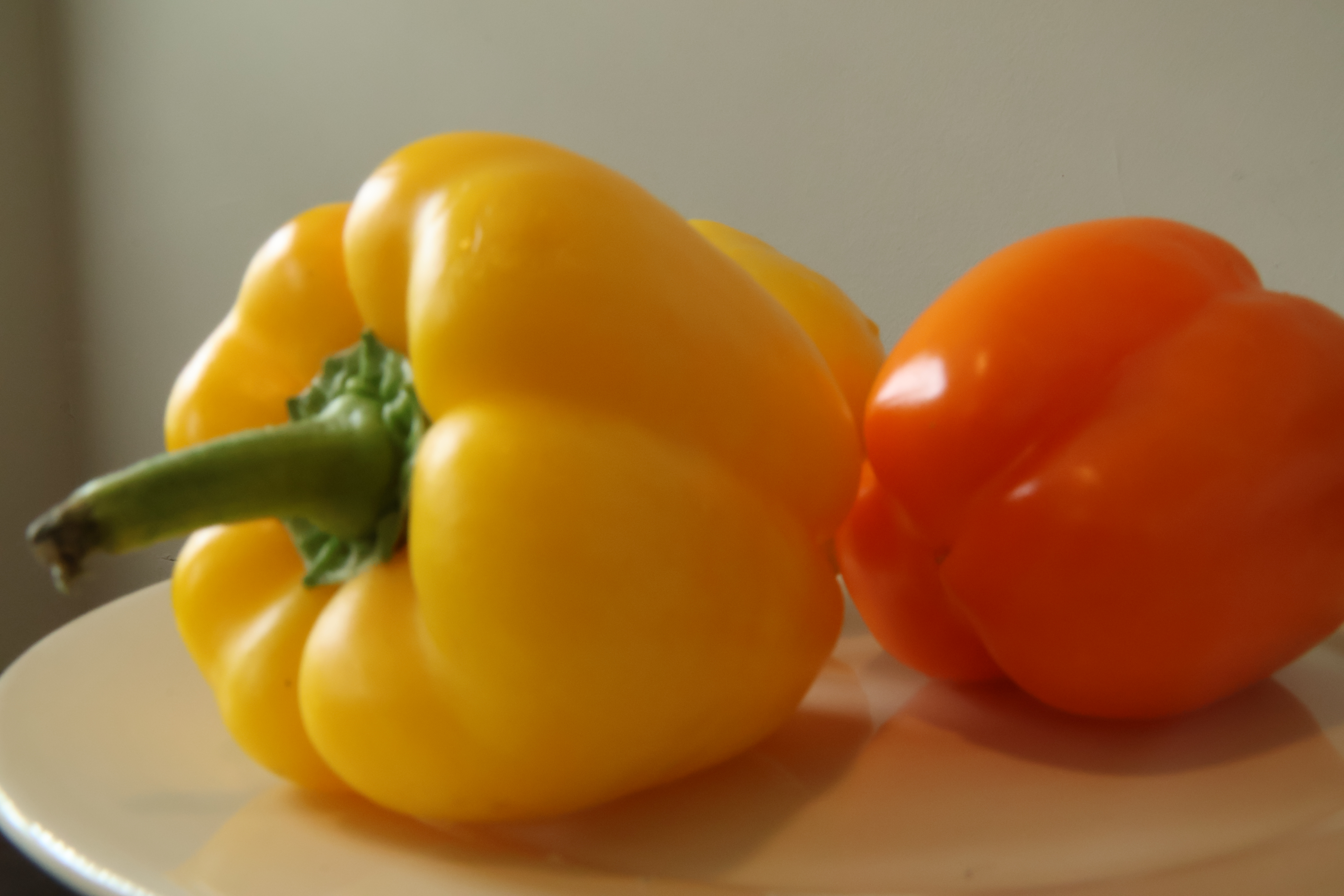 Stuffed Peppers