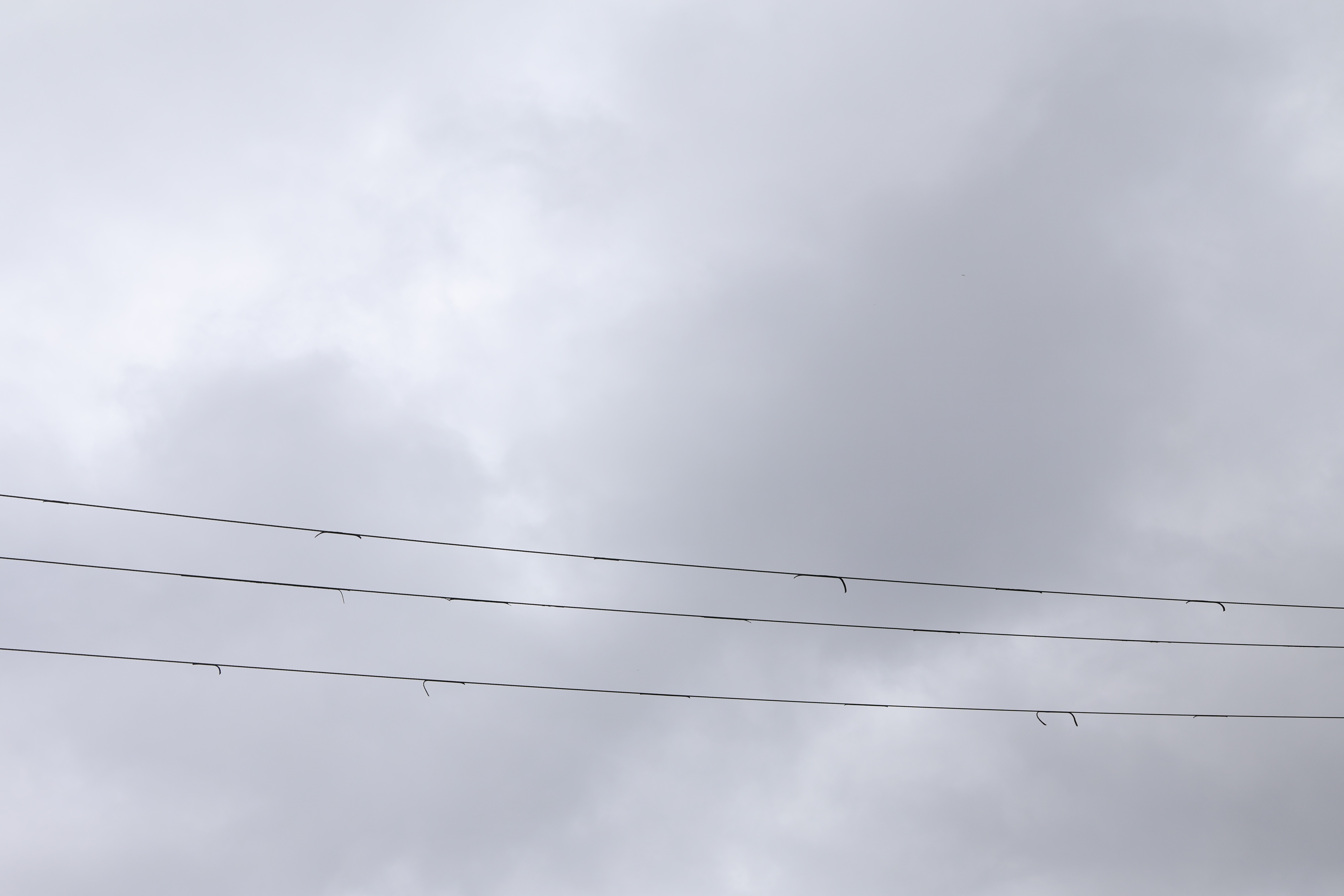 Power Lines
