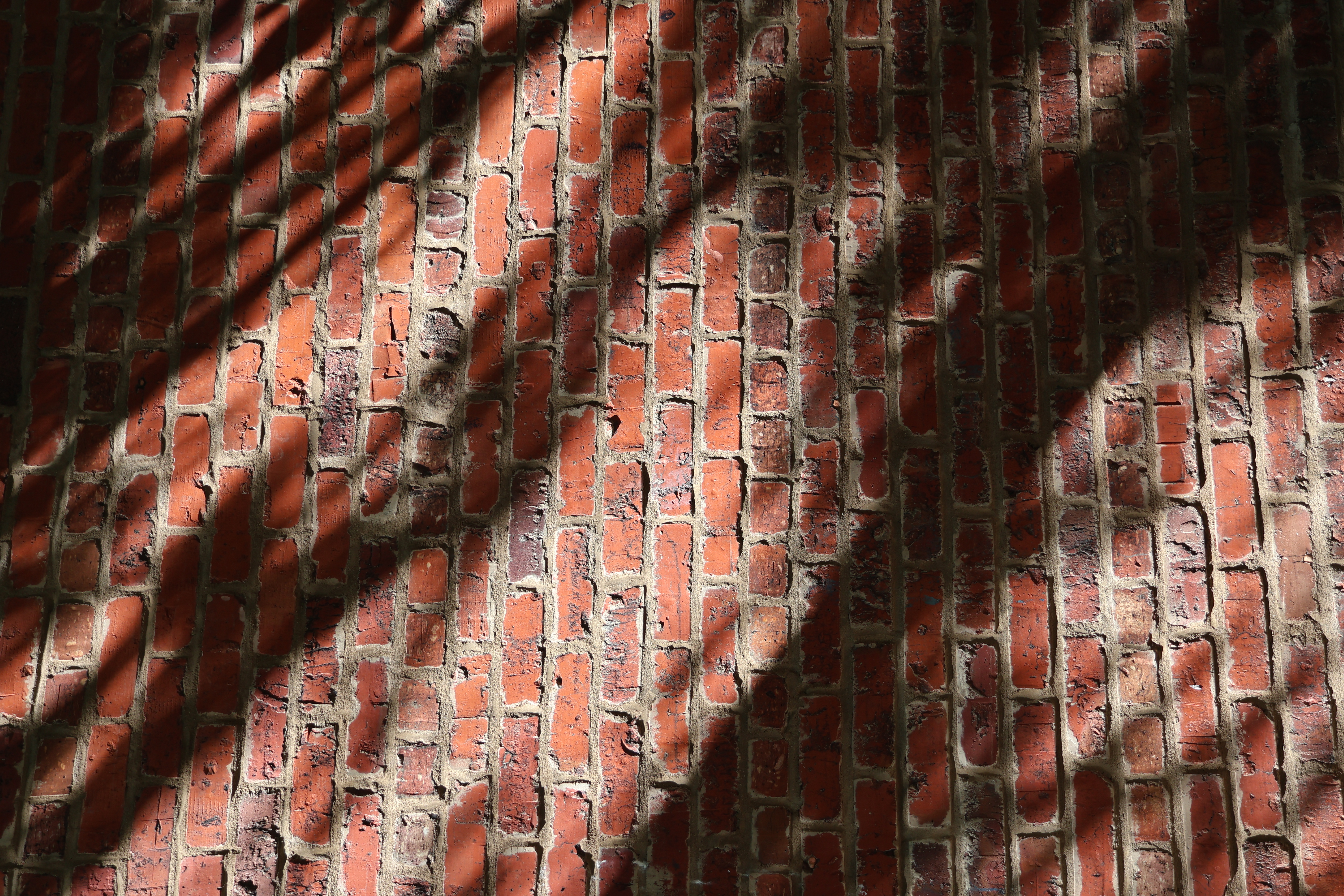 Light and Shadow on a Brick Wall