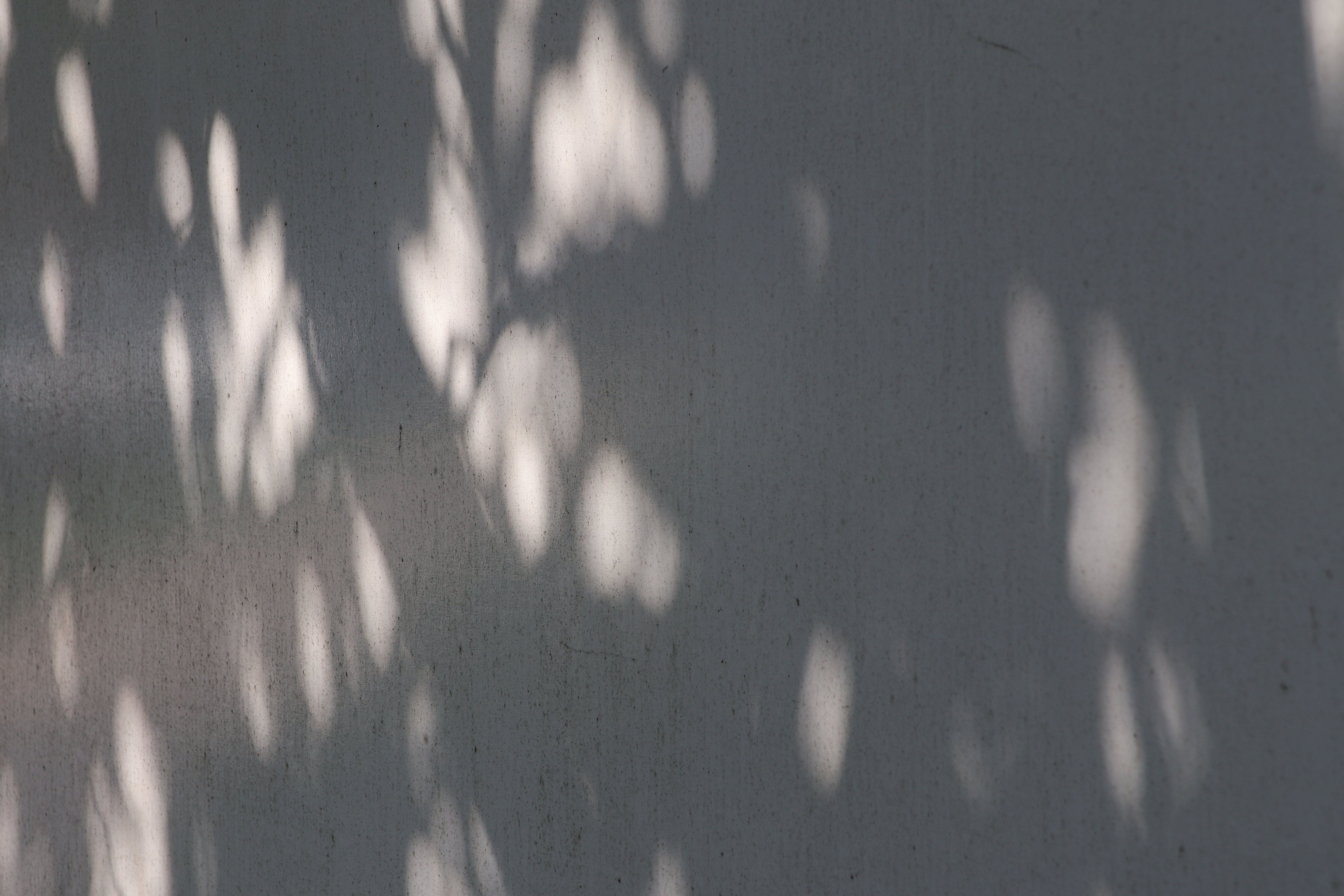 Shadows