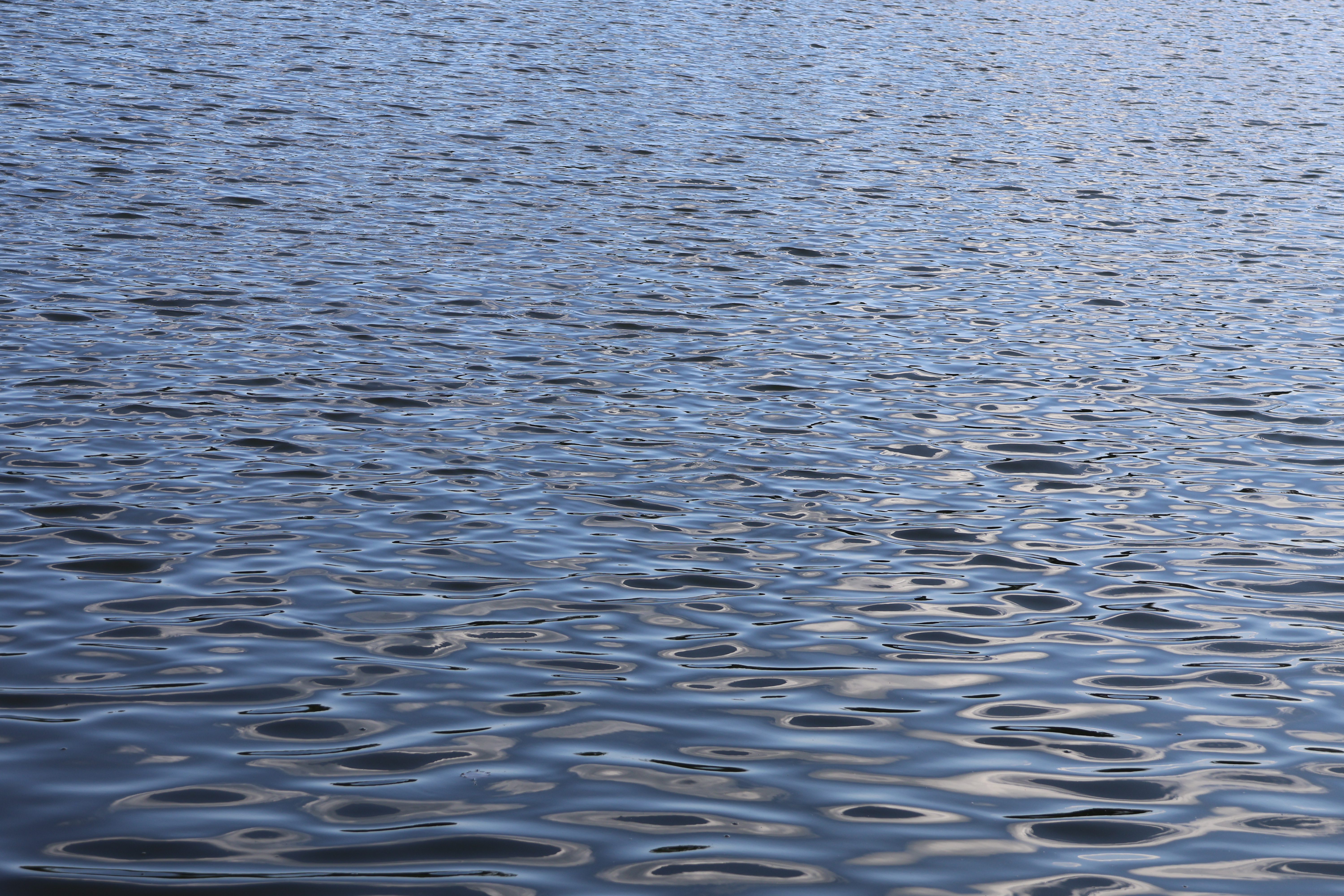 Light Reflecting on the Water