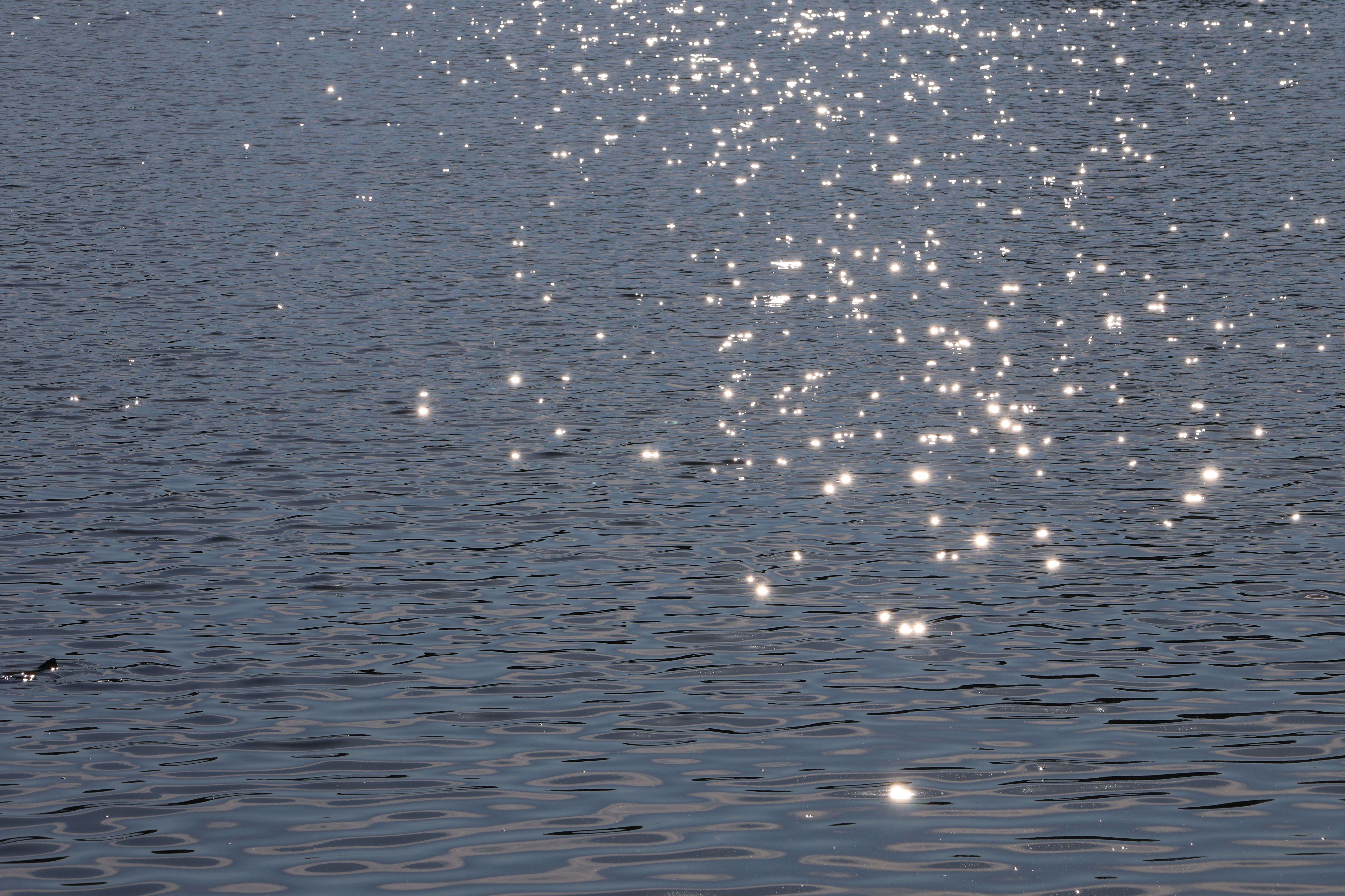 Light Reflecting on the Water from a Different Vantage Point