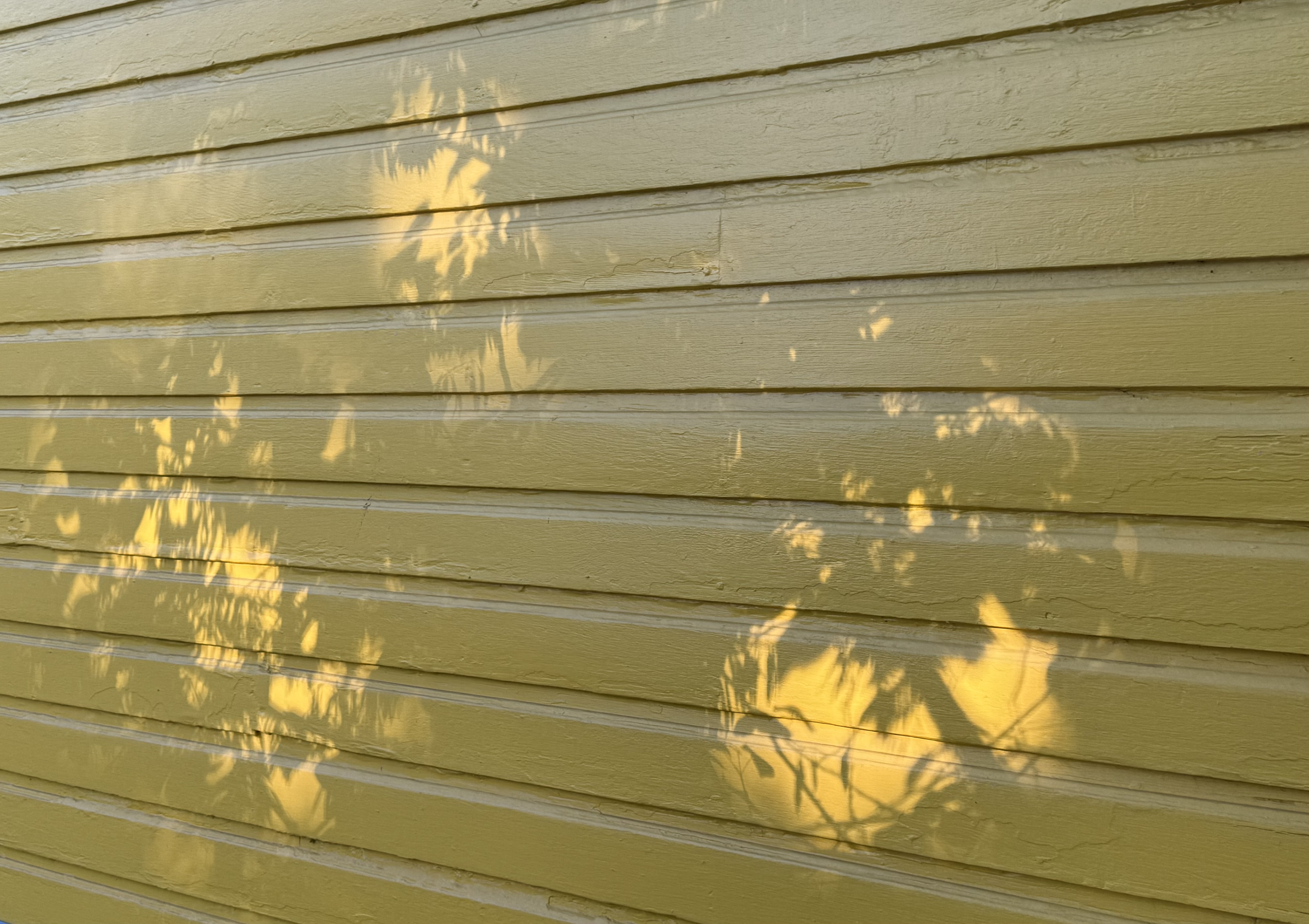 Shadows on a Yellow Wall, Full