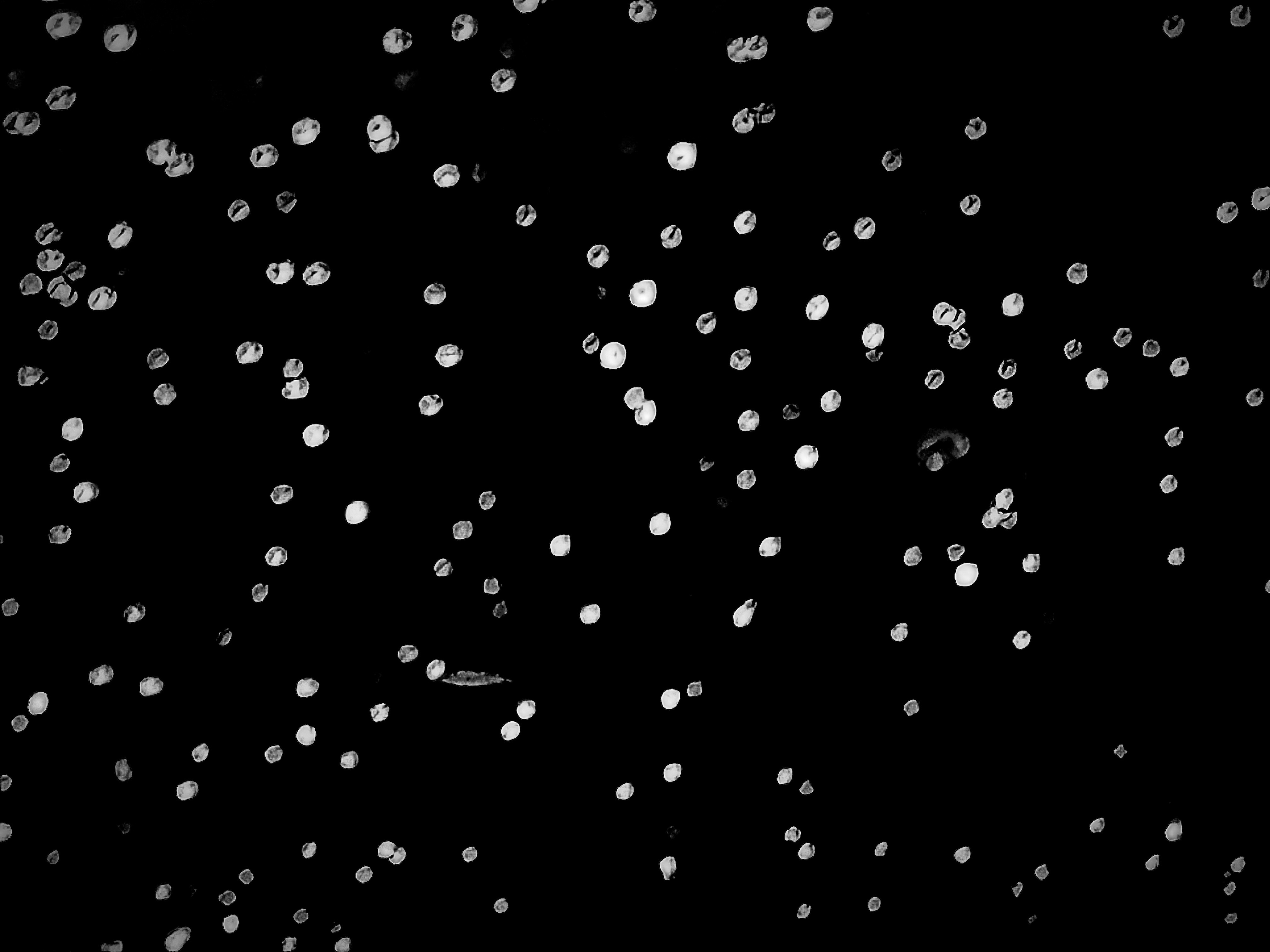 Black and White Version of Small Circular Lights