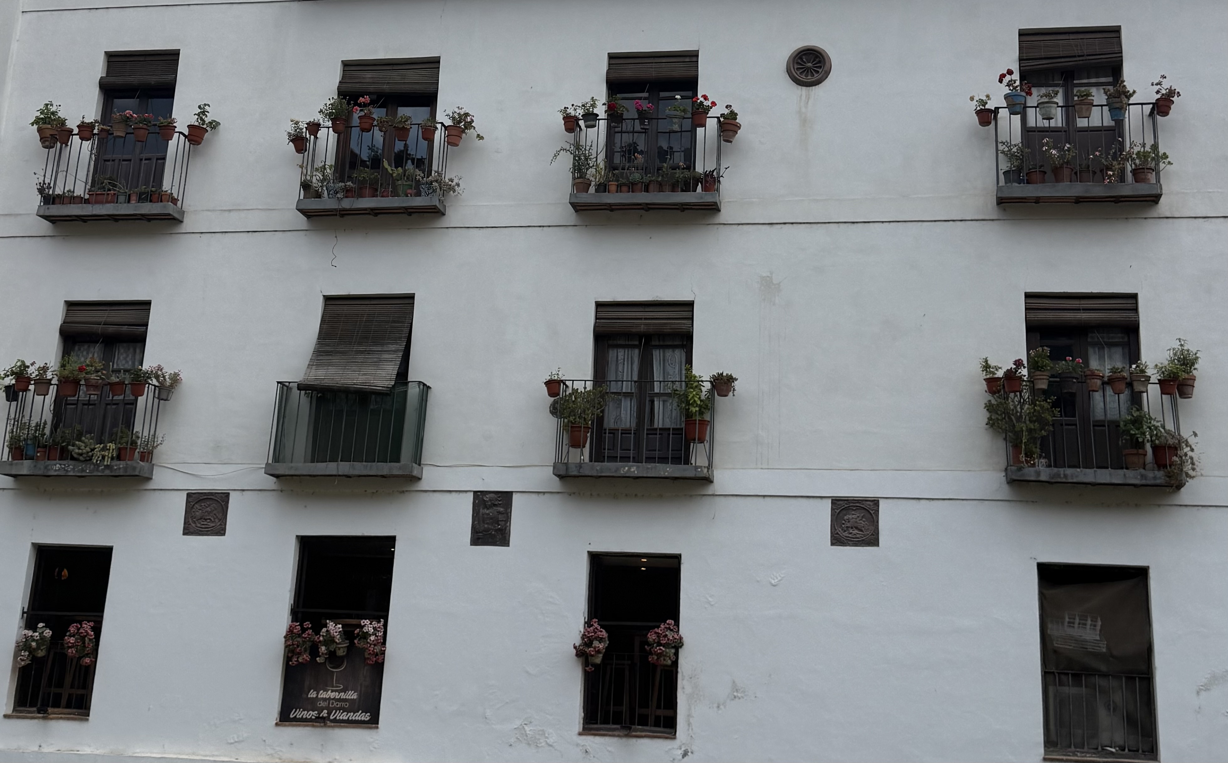 Flowers on a Wall