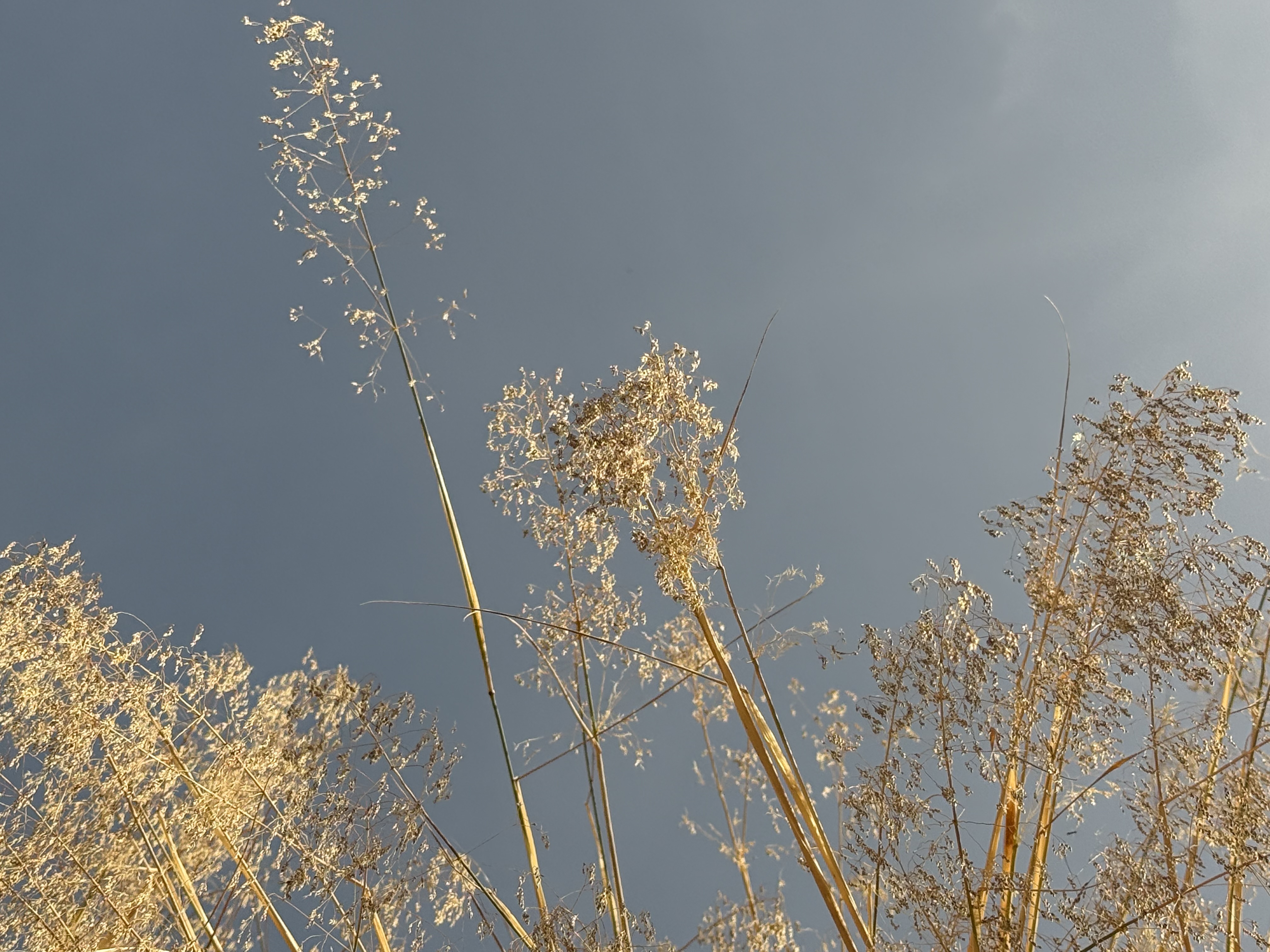 Nature in Spain