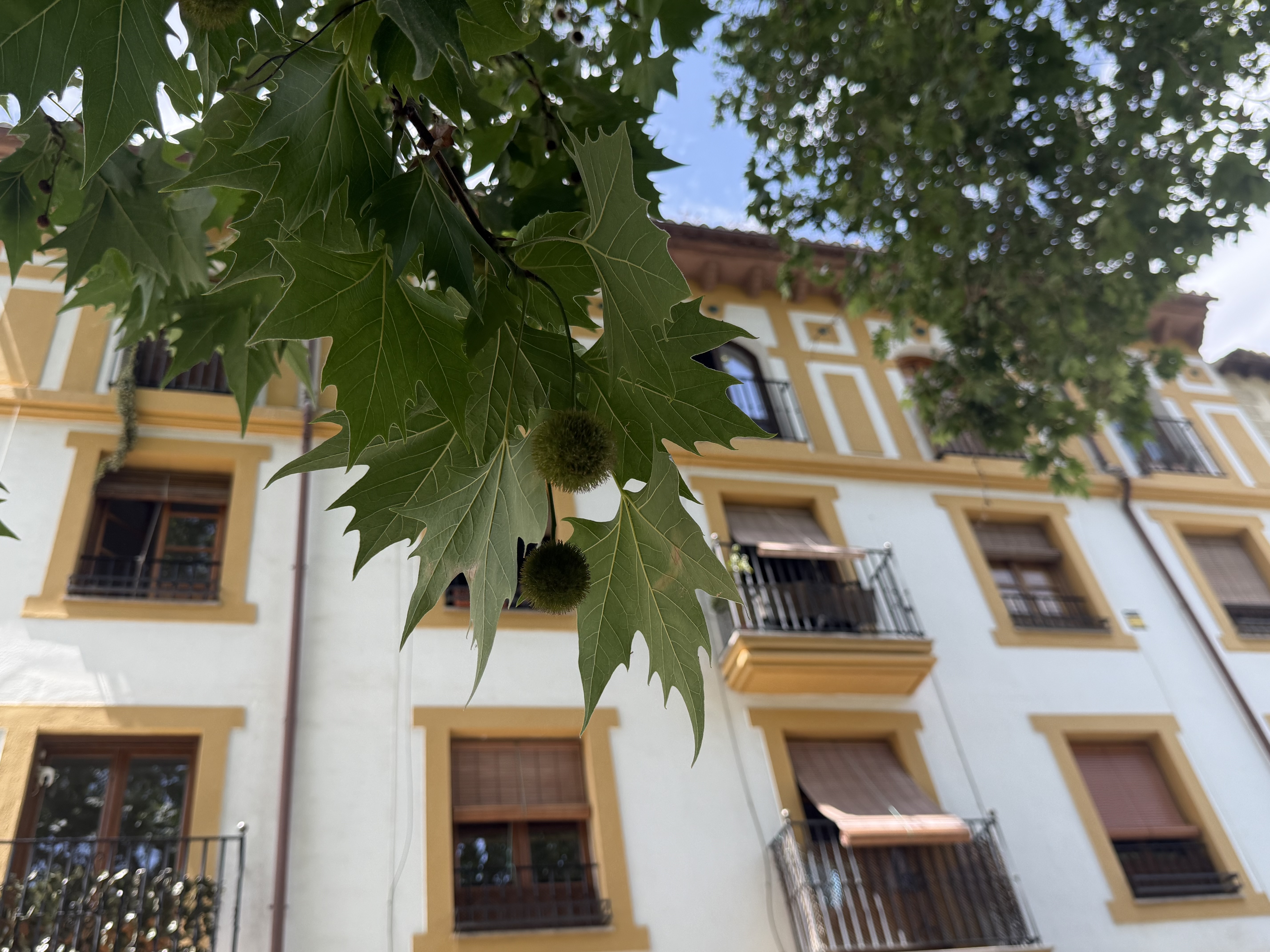 Pretty View of a Building
