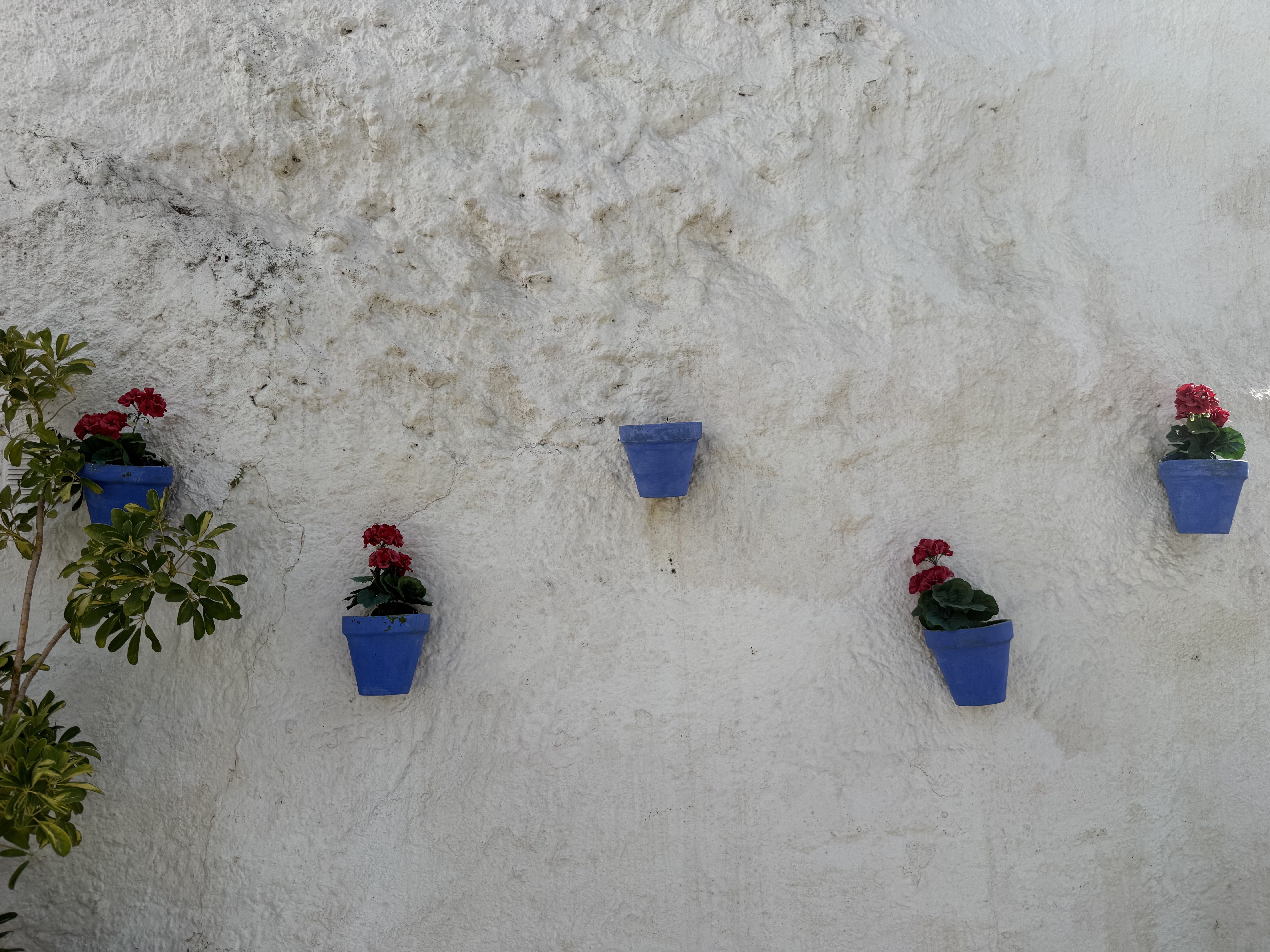 Sacromonte Wall