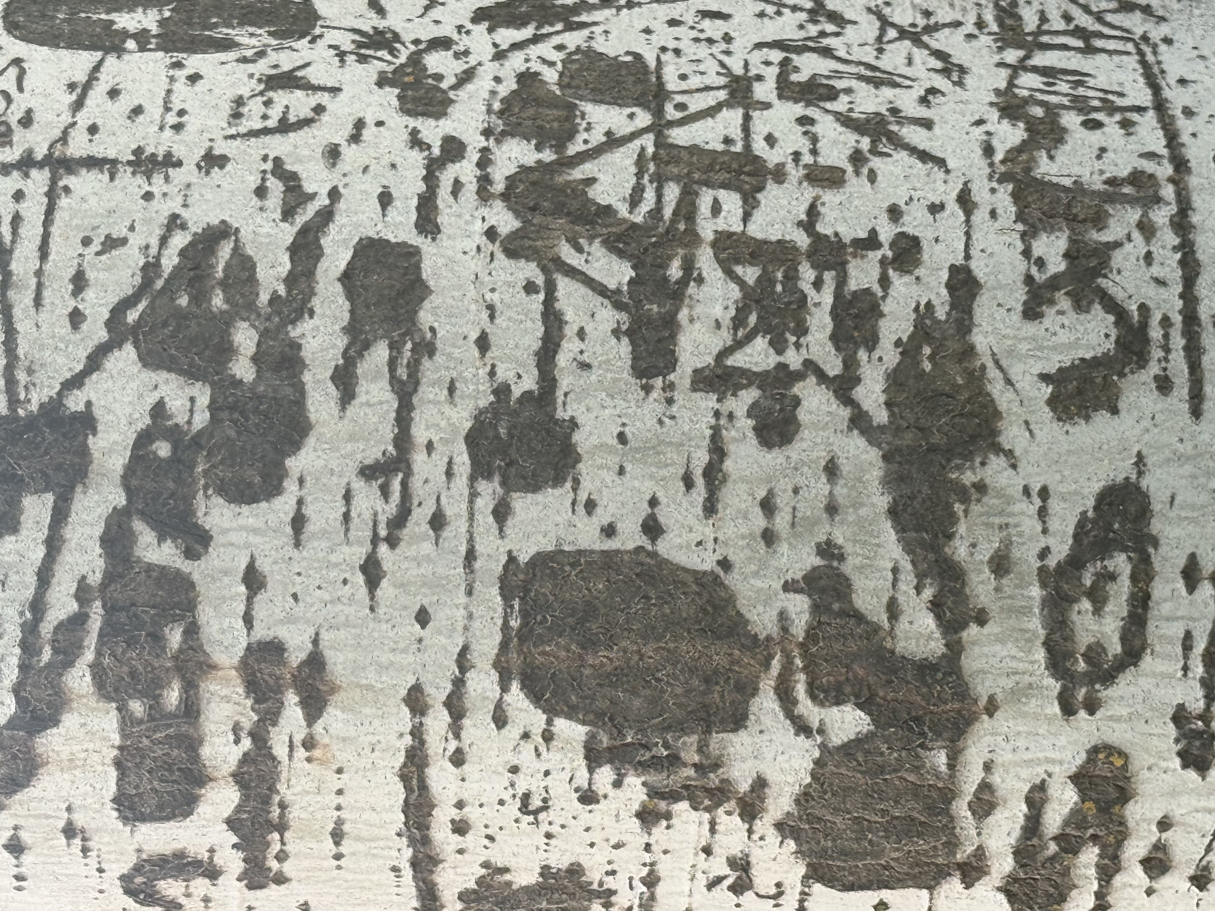 Tree Texture