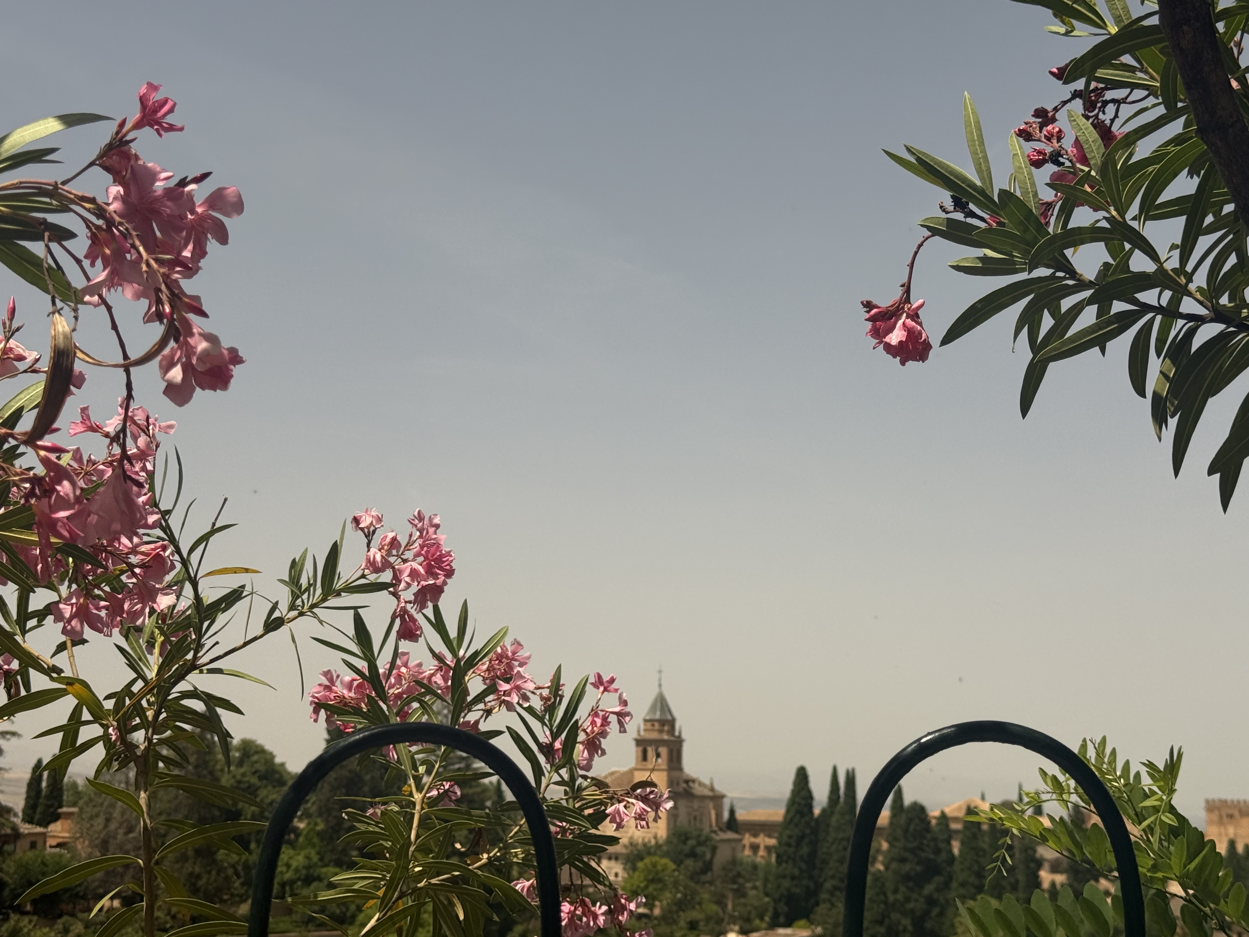 View from the Alhambra with Pink Flowers