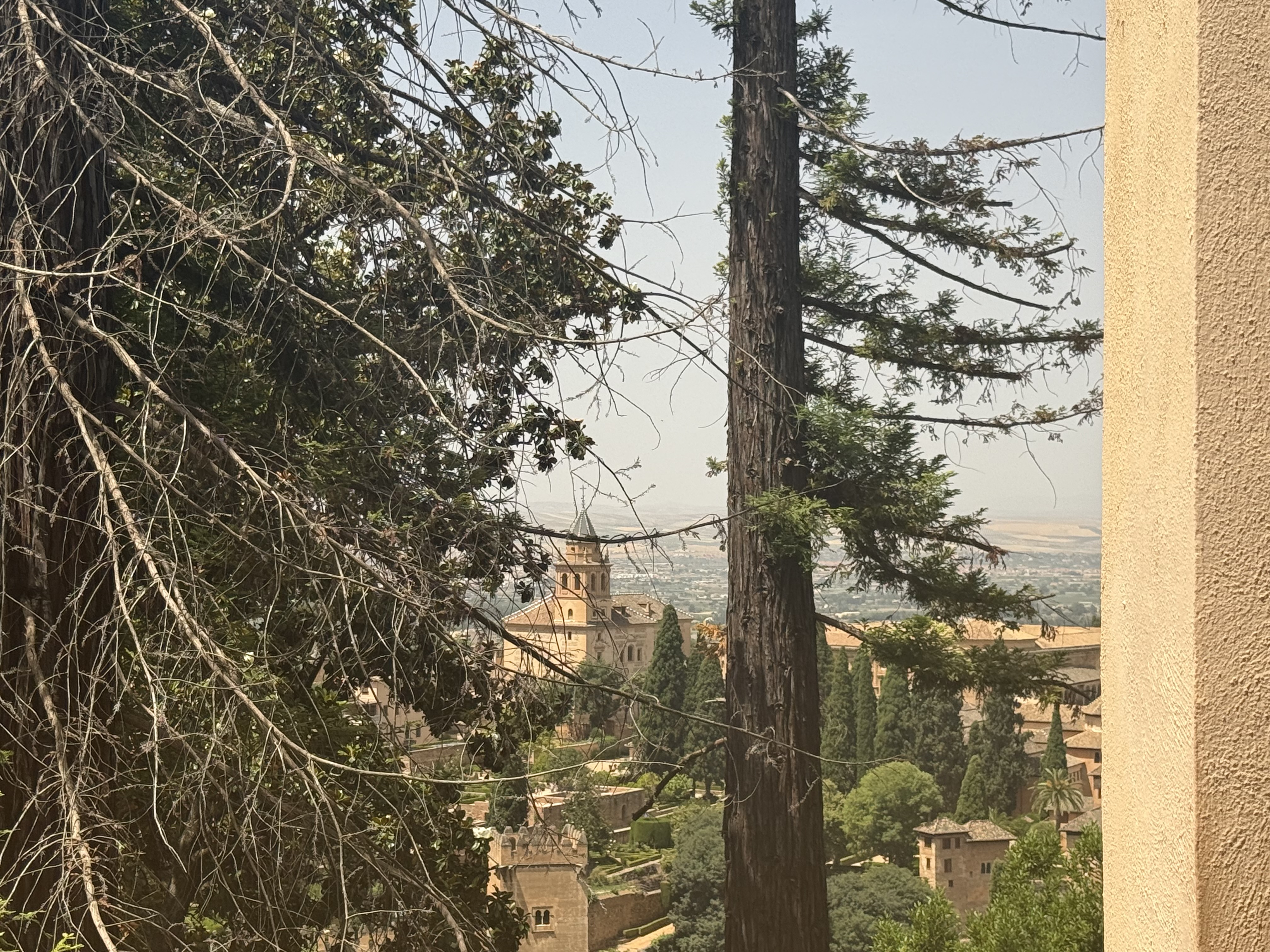 View from the Alhambra through the Trees