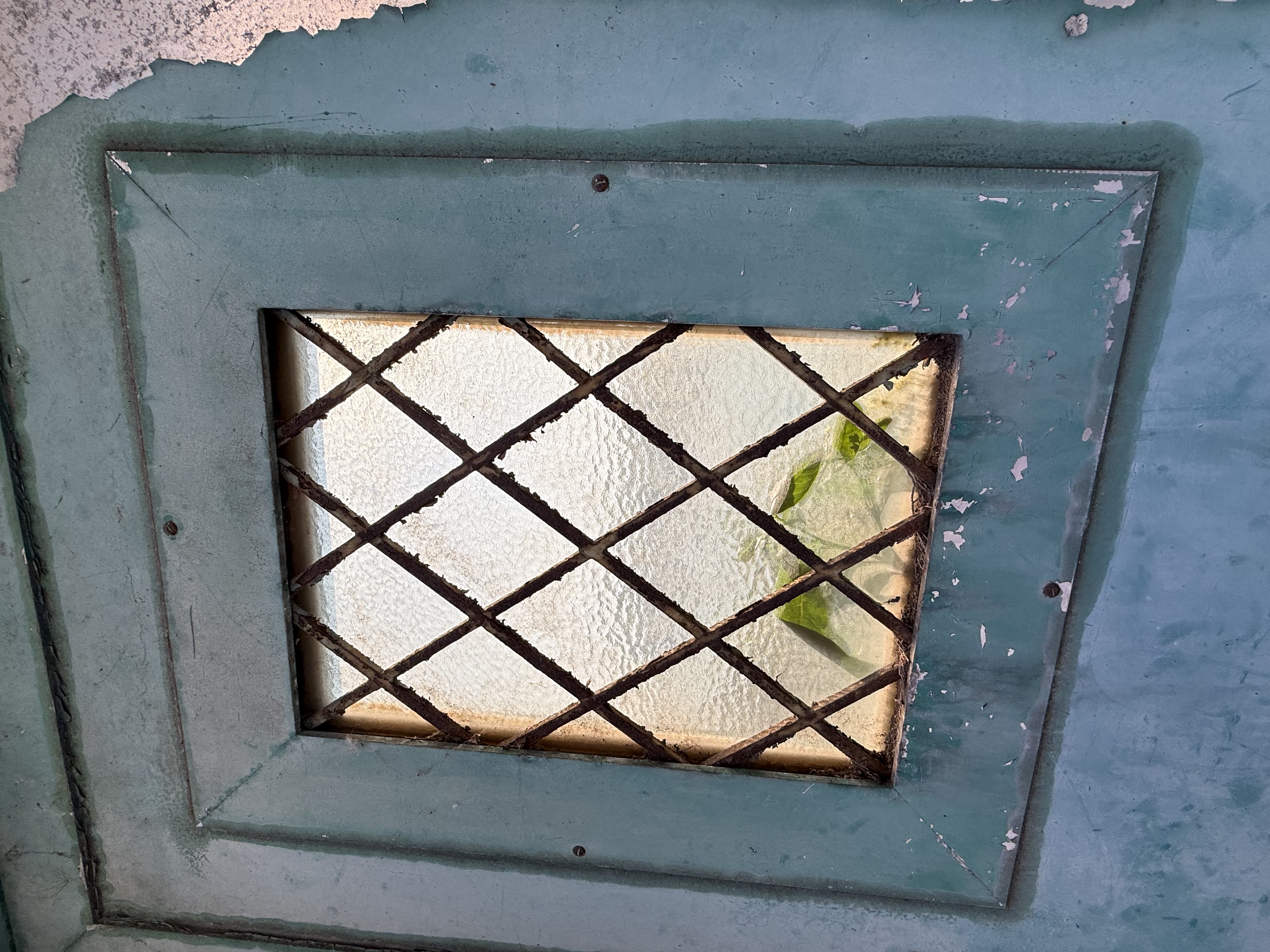 Imprinted Leaves