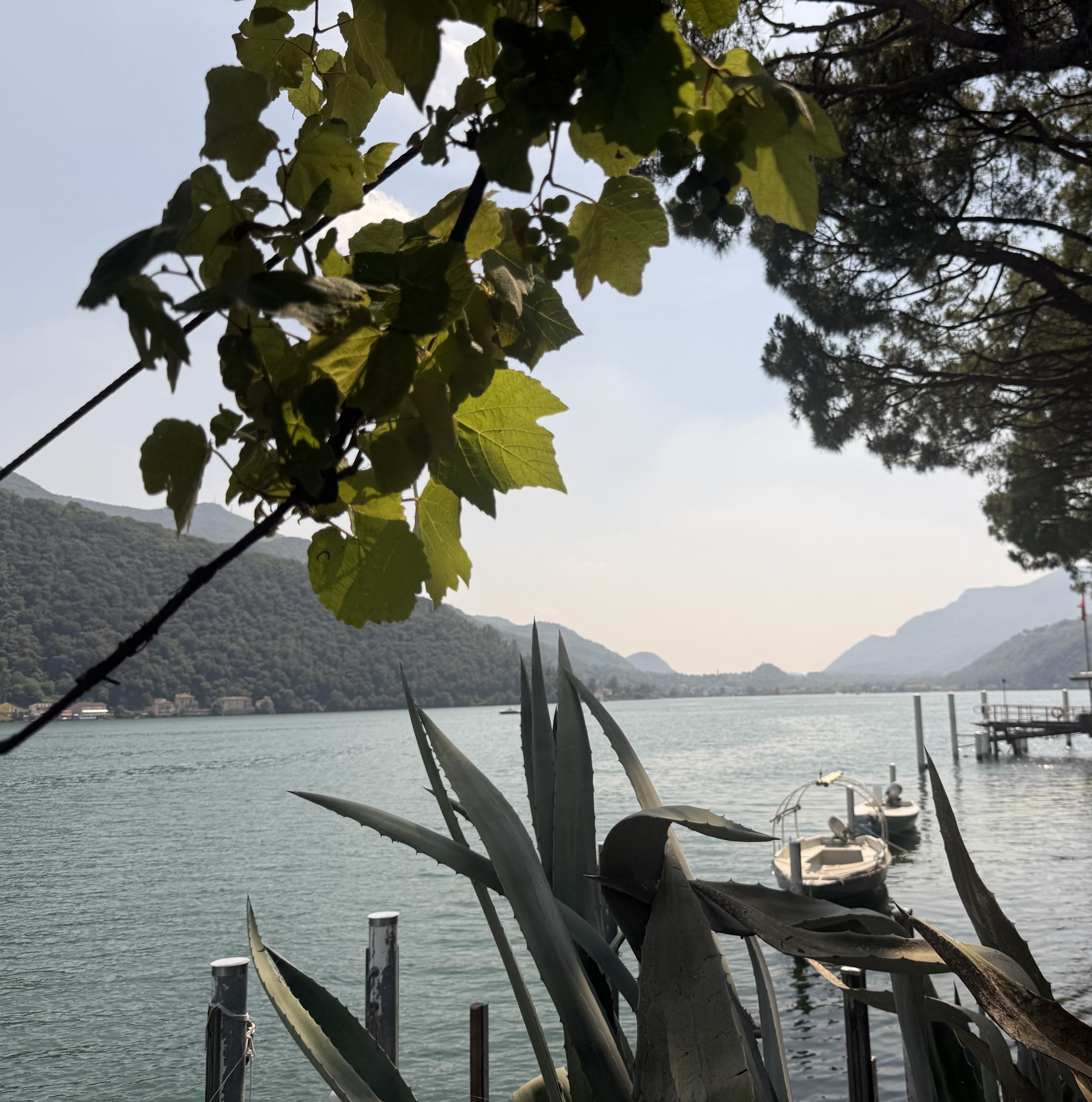 Nature and Boats