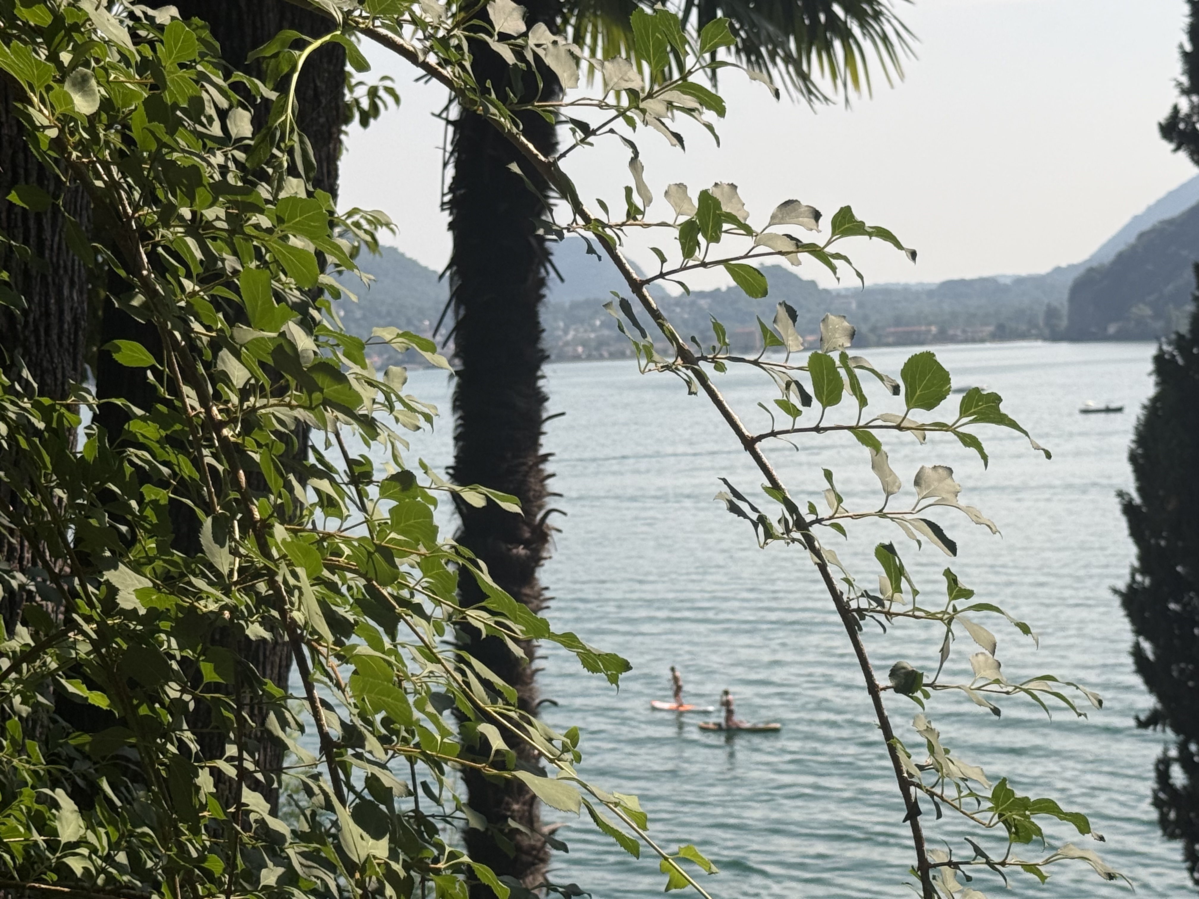 People Enjoying the Lake