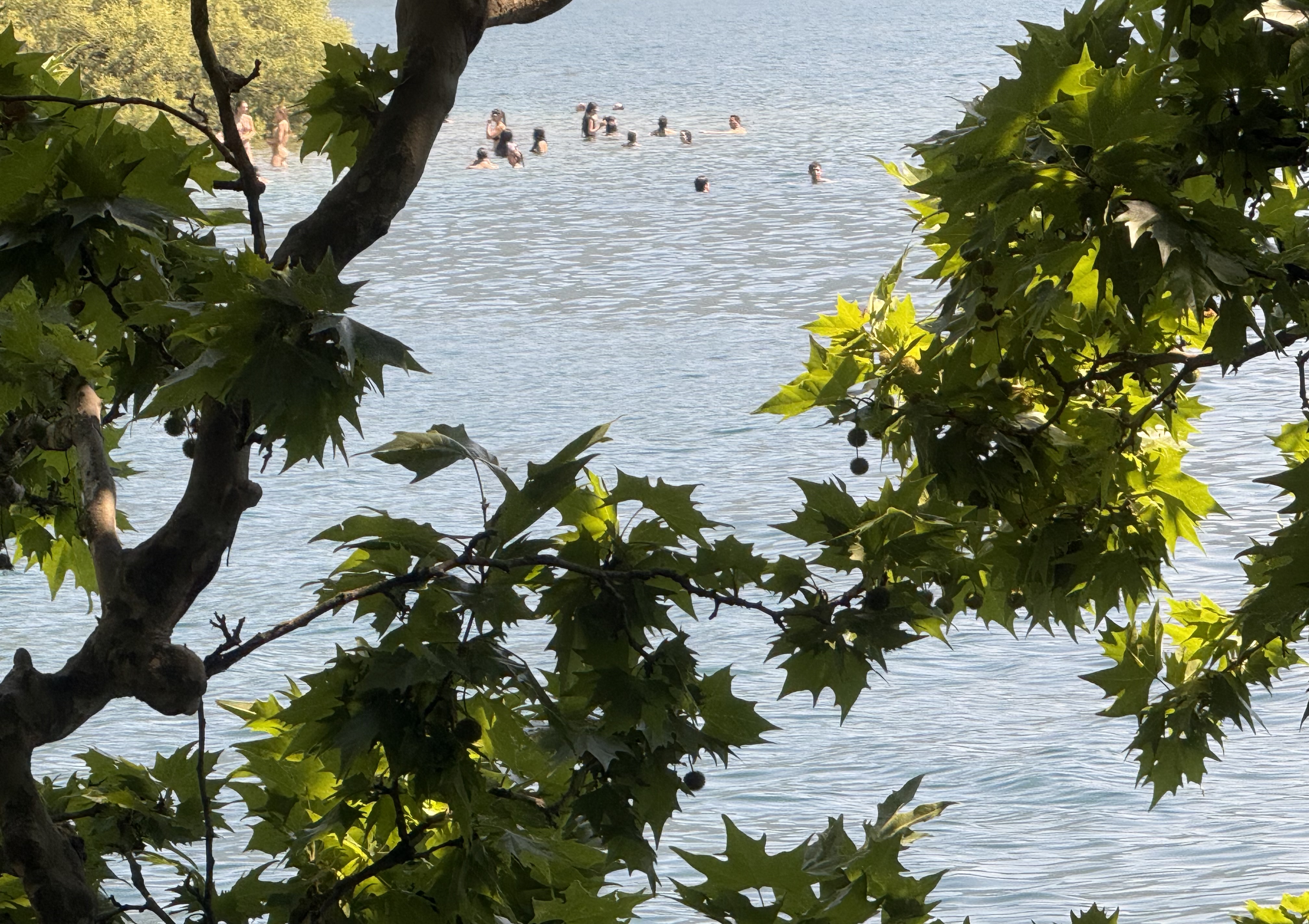 People Swimming